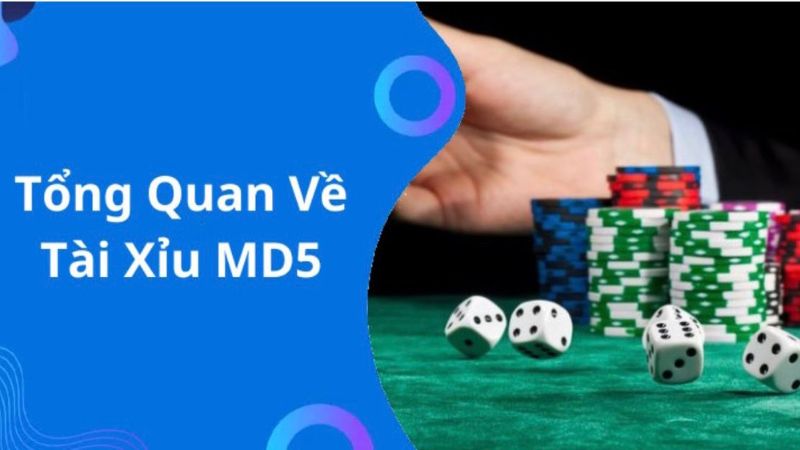 Tài Xỉu MD5 Min88 – Trò chơi hấp dẫn dễ chơi 1 Luật chơi cơ bản